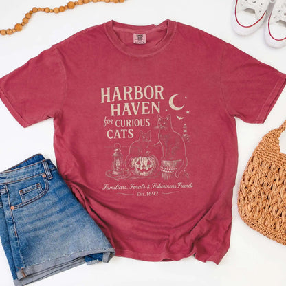 Harbor Haven for Curious Cats