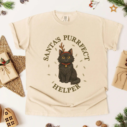 Santa's Purrfect Helper